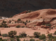 Red Rock Leggings